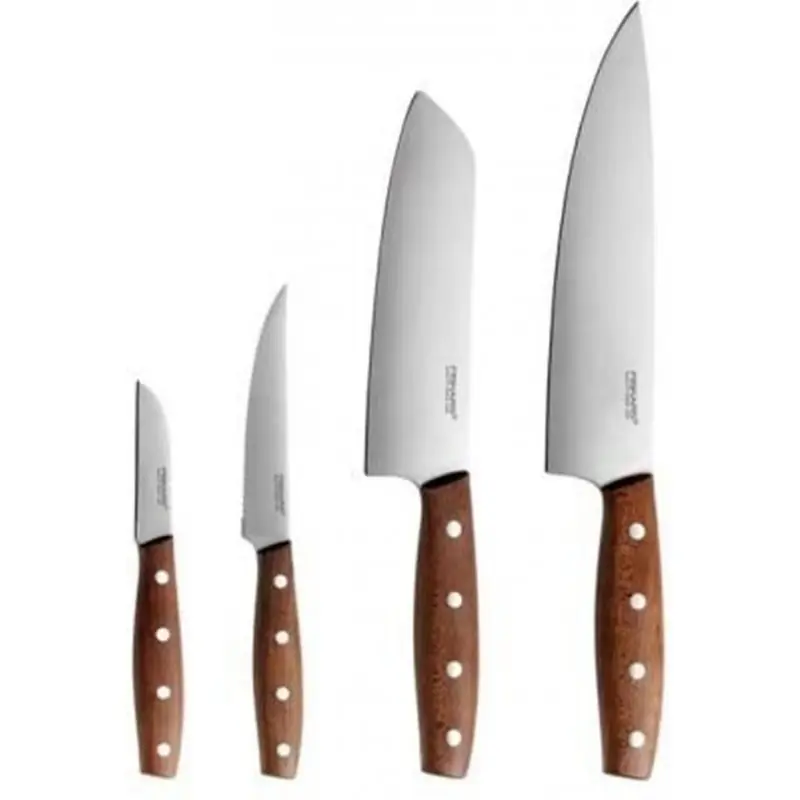 Begrenztes Angebot Fiskars Norr Satz mit 4 Messern 1066413
