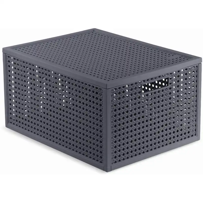 CURVER KAYA M 20L Aufbewahrungsbox 37,6 × 30 × 20,7 cm, Blaugrau 17213763 Wochenendangebot
