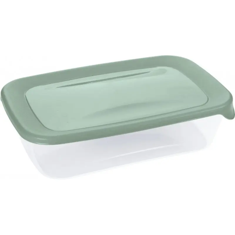 CURVER FRESH GO 1L Frischhaltedose 22,8 × 14,8 × 6 cm, Grün/Transparent 00554-A87 Neuheit