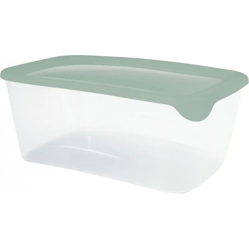 CURVER FRESH GO 3L Frischhaltedose 25,6 × 10 × 16,7 cm, Grün/Transparent 00556-A87 Bestpreis
