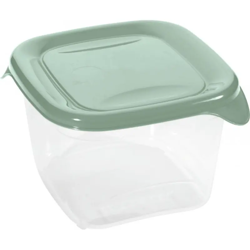 CURVER FRESH GO 0,45L Frischhaltedose 10,5 × 10,5 × 7 cm, Grün/Transparent 00558-A87 Neue Ware