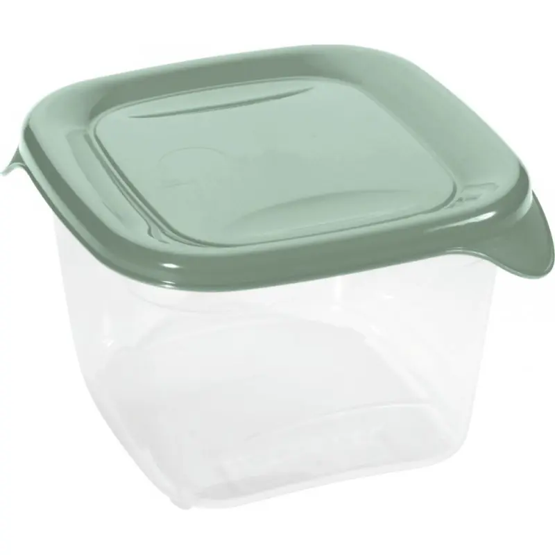 CURVER FRESH GO 1,2L Frischhaltedose 15,5 × 15,5 × 8,3 cm, Grün/Transparent 00560-A87 Nur Für Kurze Zeit