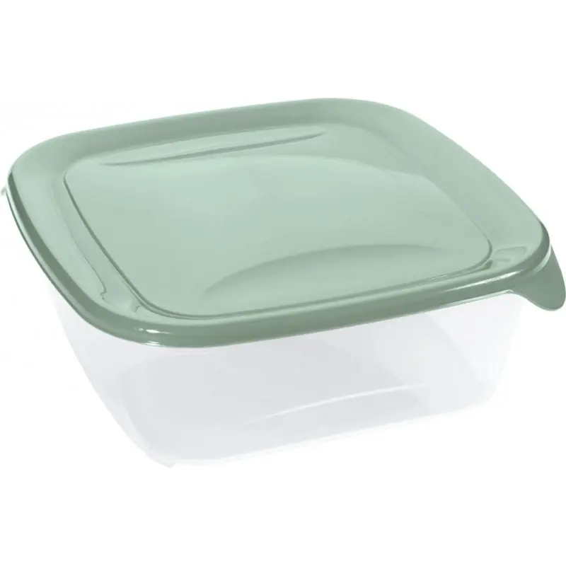 Heißes Angebot CURVER FRESH GO 1,7L Frischhaltedose 19,5 × 19,5 × 7 cm, Grün/Transparent 00561-A87