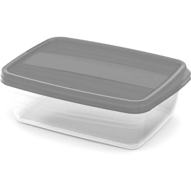 CURVER VEDO 2x1,75L Frischhaltedosen-Set 23 x 17 x 7 cm, Grau 03518-Q58 Knallerangebot