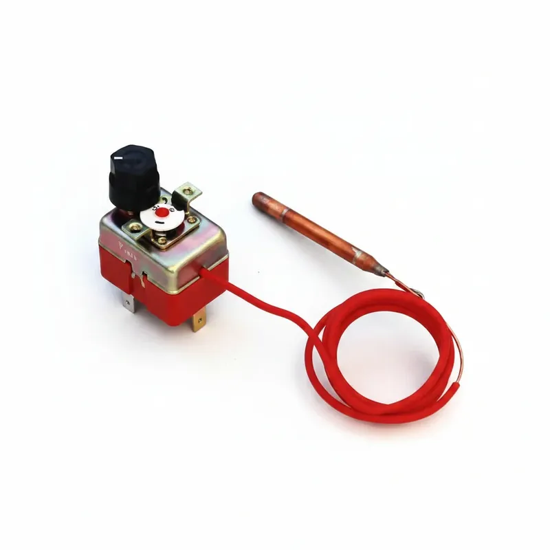 Echt S0061 STB Sicherheitsthermostat für ATMOS GS