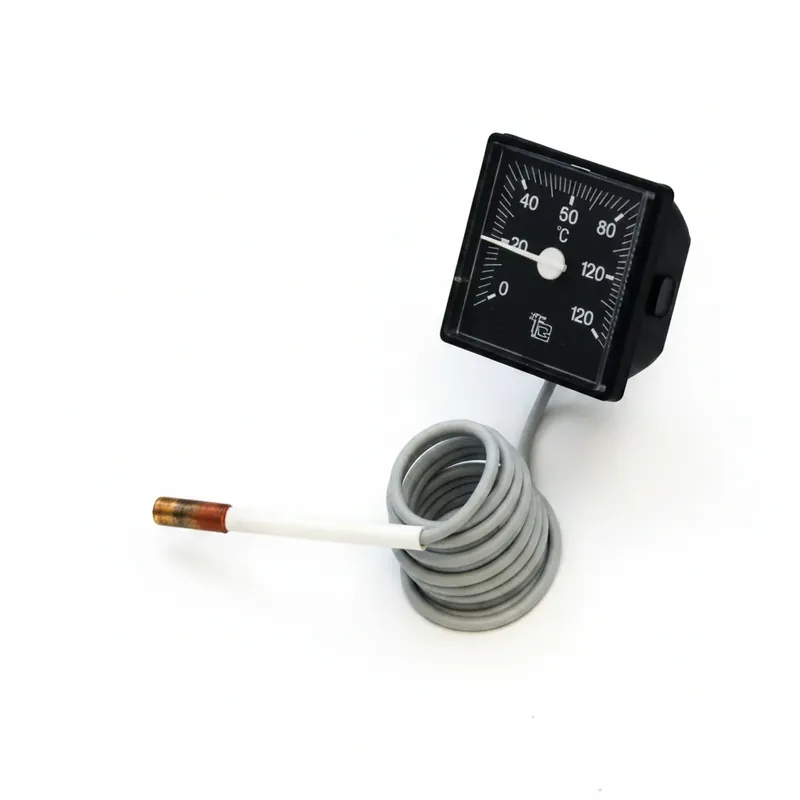 Finale Aktion S0041 Thermometer für ATMOS DxxP Pelletkessel