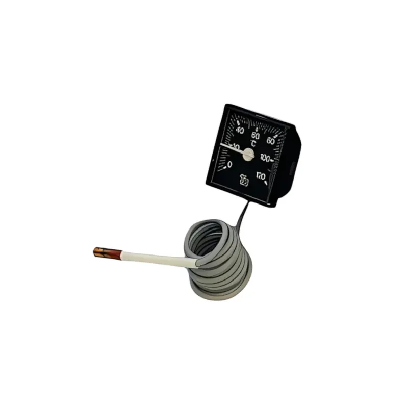 S0041 Thermometer für ATMOS GSX Holzvergaser Expressversand