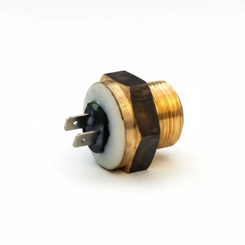 S0053 Ladepumpenthermostat 90° für ATMOS GS Heißes Angebot