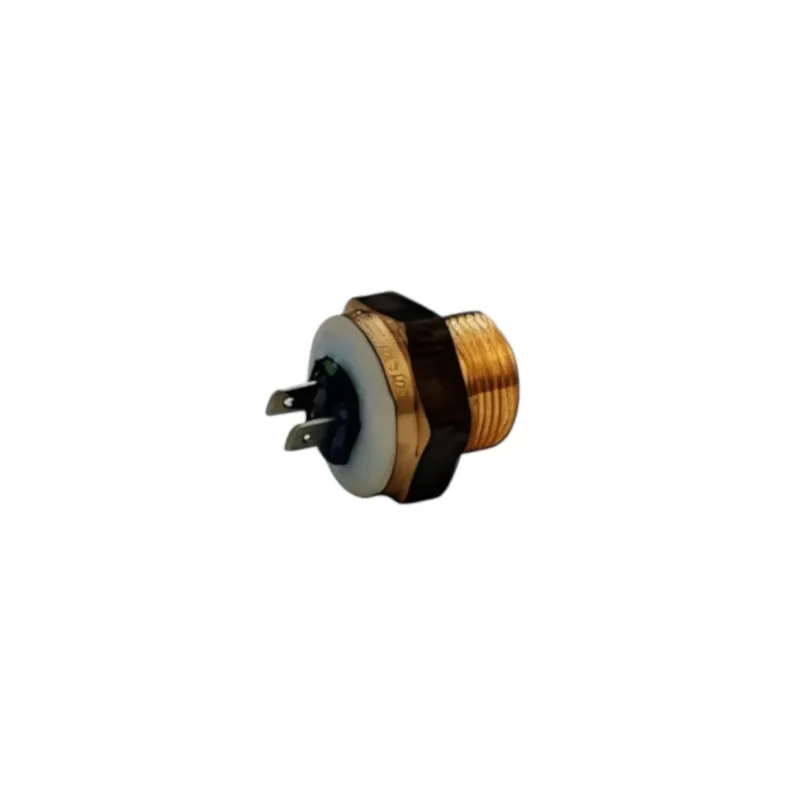 Nur Heute S0053 Ladepumpenthermostat 90° für ATMOS GSE