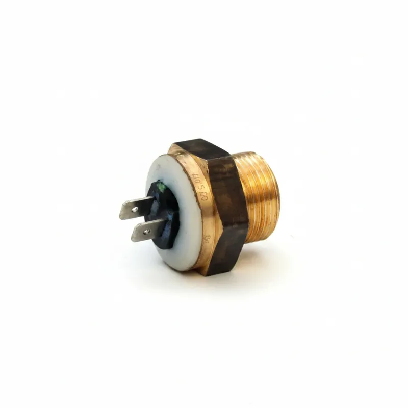 Billig S0053 Ladepumpenthermostat 90° für ATMOS GSX
