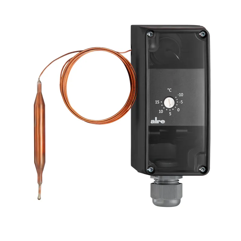 Kracherpreis Frostschutzthermostat RTKSA-204.000