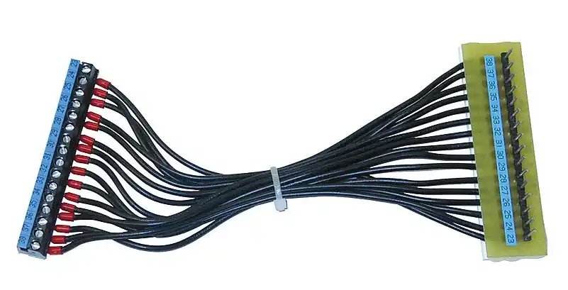 EbV Adapter KSF Gamma-Theta Nur Heute