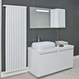 Aluminium-Röhrenradiator Tribeca RAL 9010, Typ 900 x 10 Glieder Sichere Zahlung