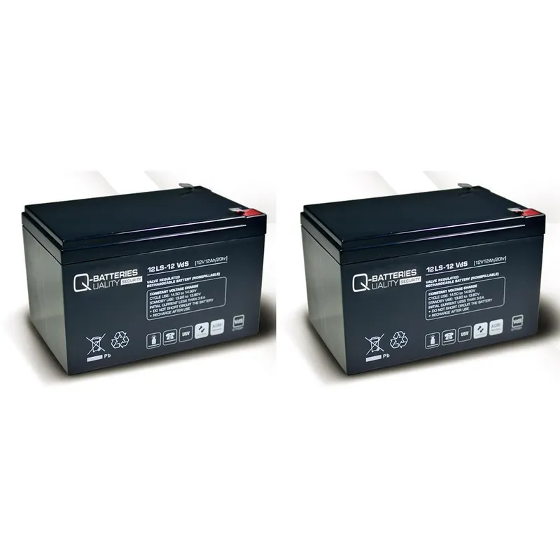 Ersatzakku für APC Smart-UPS SU700X167 RBC6 RBC 6 / Markenakku mit VdS Echt