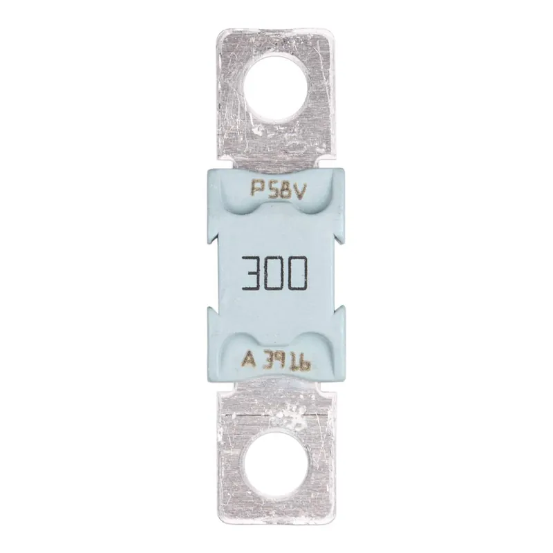Sichere Zahlung Victron MEGA fuse 125A/58V