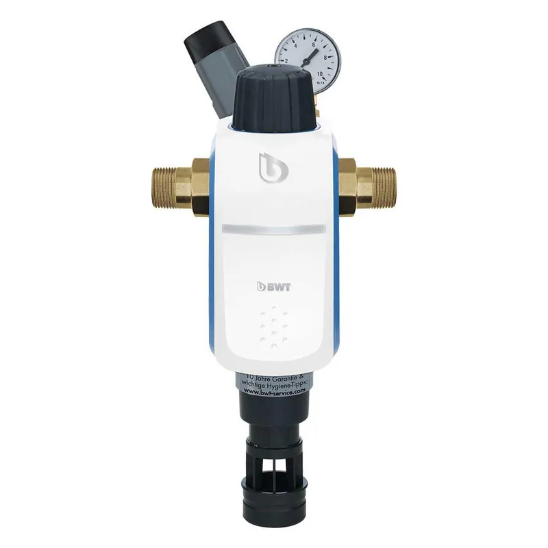Direktkauf BWT Hauswasser-Rückspülfilter HWS 1" LF manuell