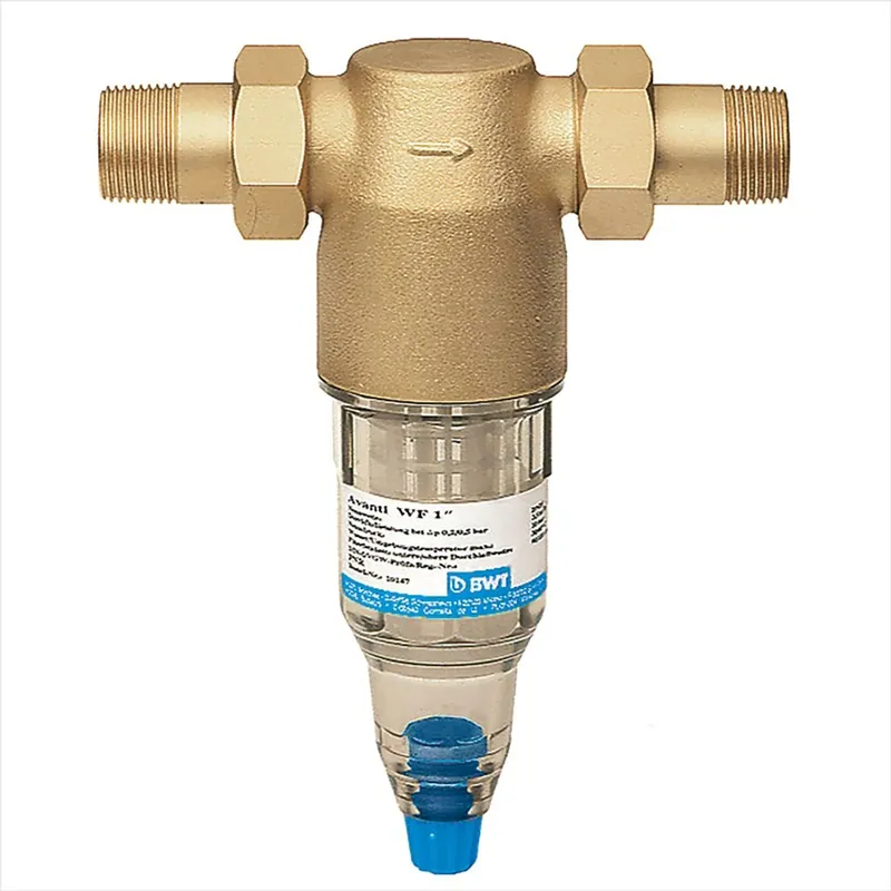 BWT Wechselfilter Avanti WF 1 Zoll AG Abverkauf