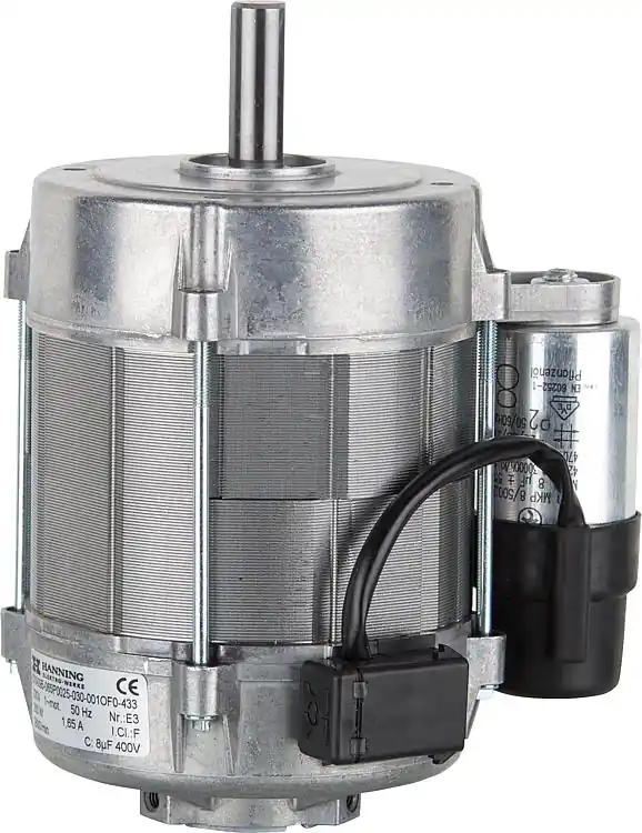 Schneller Versand Brennermotor 250 W Giersch 33-90-10335