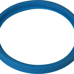 Echt Dichtung DN60 für PPS, Remeha 7797947