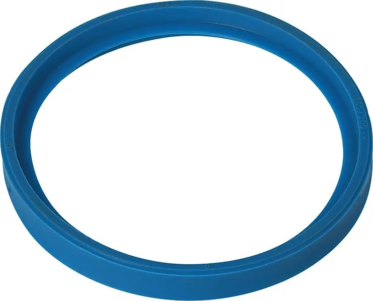 Echt Dichtung DN60 für PPS, Remeha 7797947